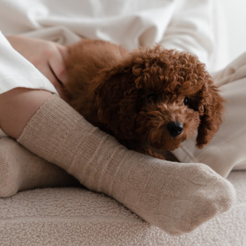 Skarpetki wełniane beżowe