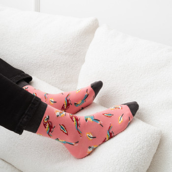 PARROTS - kolorowe...